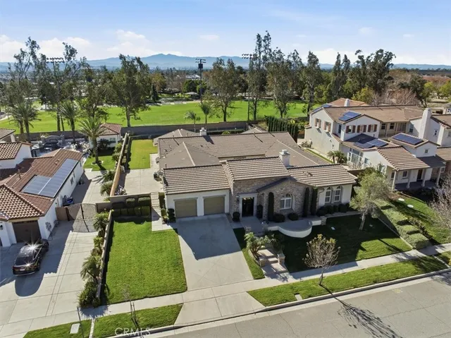 a view of a potted plant in a kitchen next to a window