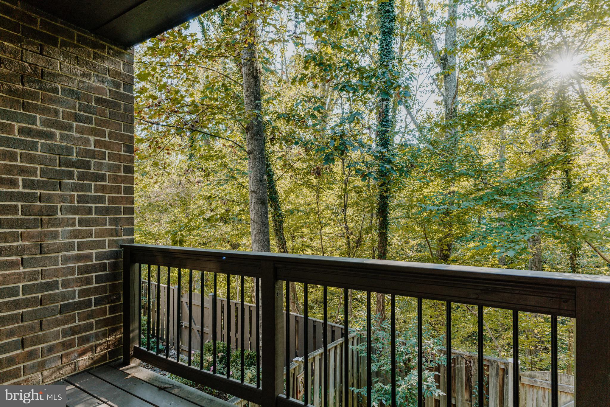 11081 Saffold Way Reston, VA 20190 - Photo 17 of 62 Overlooks 🌳 so quiet and peaceful!