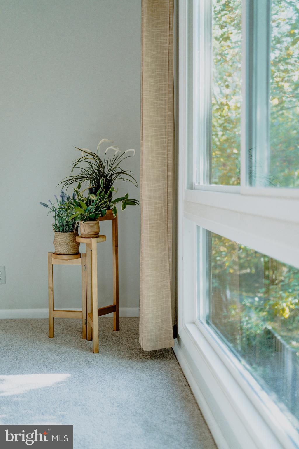 11081 Saffold Way Reston, VA 20190 - Photo 29 of 62