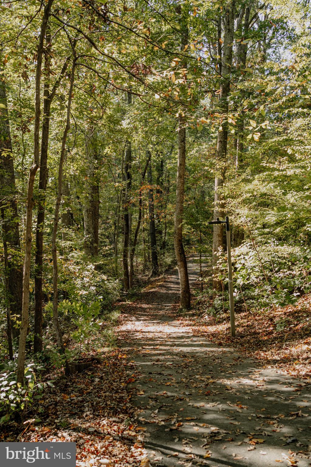 11081 Saffold Way Reston, VA 20190 - Photo 61 of 62 Walking/running/biking trails!