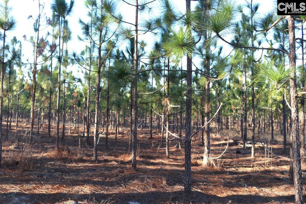 Holstein Road Wagener, SC 29164 - Photo 15 of 26