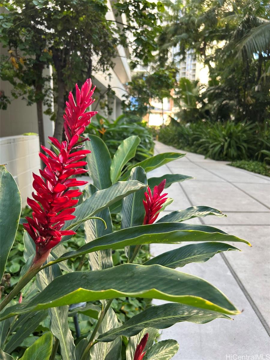 425 Ena Road, Unit 1208A Honolulu, HI 96815 - Photo 21 of 21 a view of swings and sign