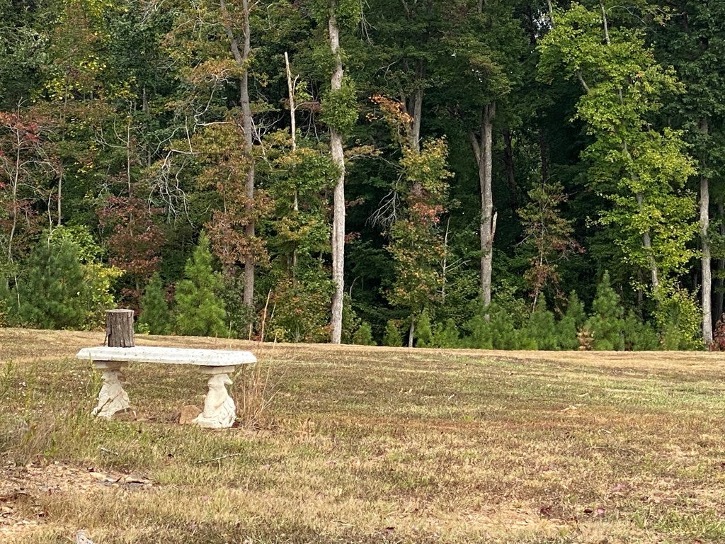 49 The Falls Road, Unit 42 Crewe, VA 23930 - Photo 12 of 30 Gallery Image 12