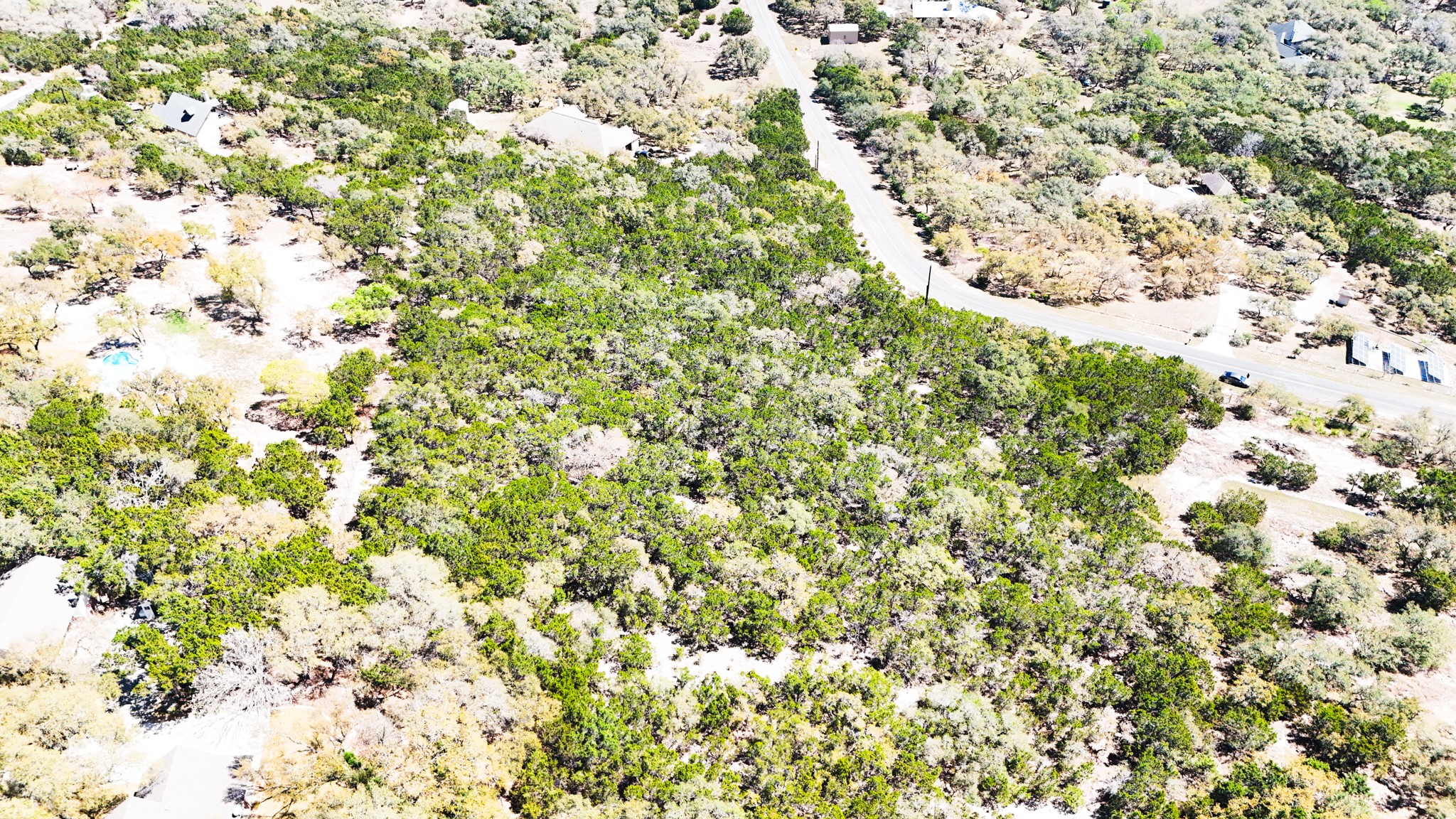2425 Smoke Rise Canyon Bulverde, TX 78163 - Photo 10 of 14 a view of a tree