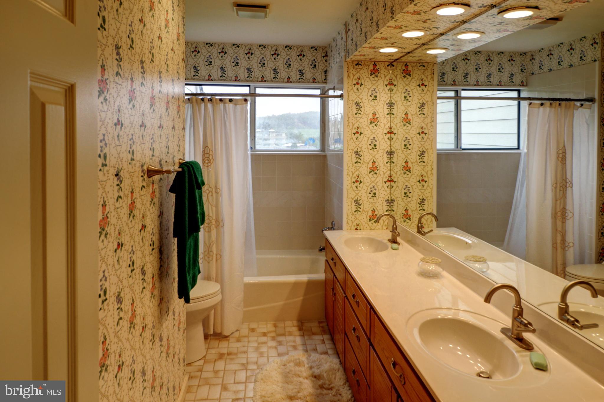 45 Ridge Court, Unit 26 Basye, VA 22842 - Photo 15 of 24 The large en suite Primary Bath