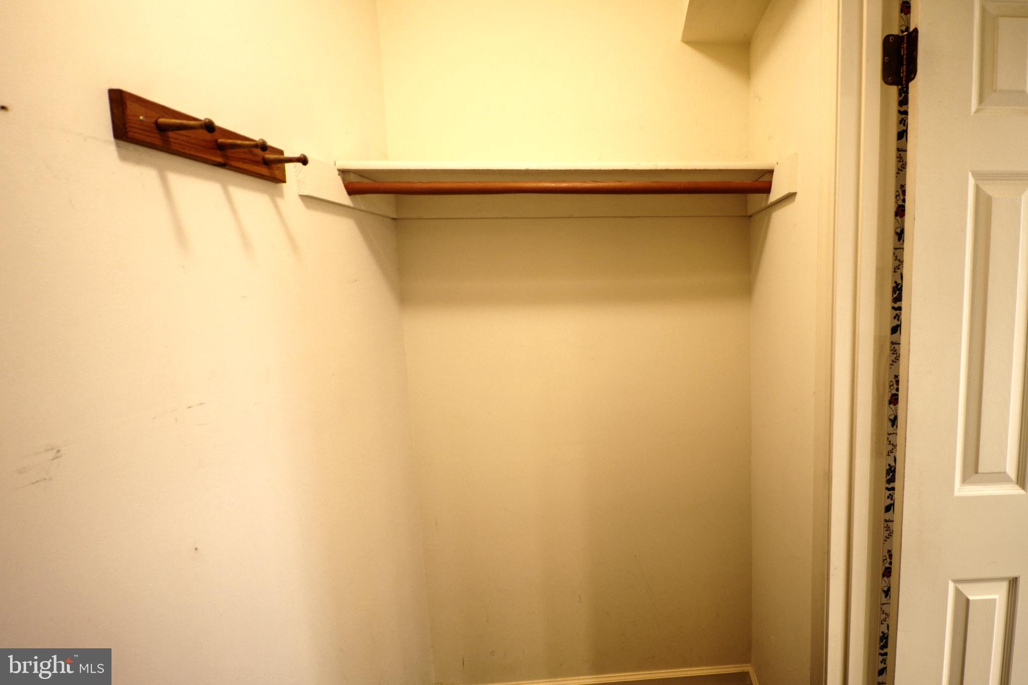 45 Ridge Court, Unit 26 Basye, VA 22842 - Photo 16 of 24 The Primary Suite's walk-in closet