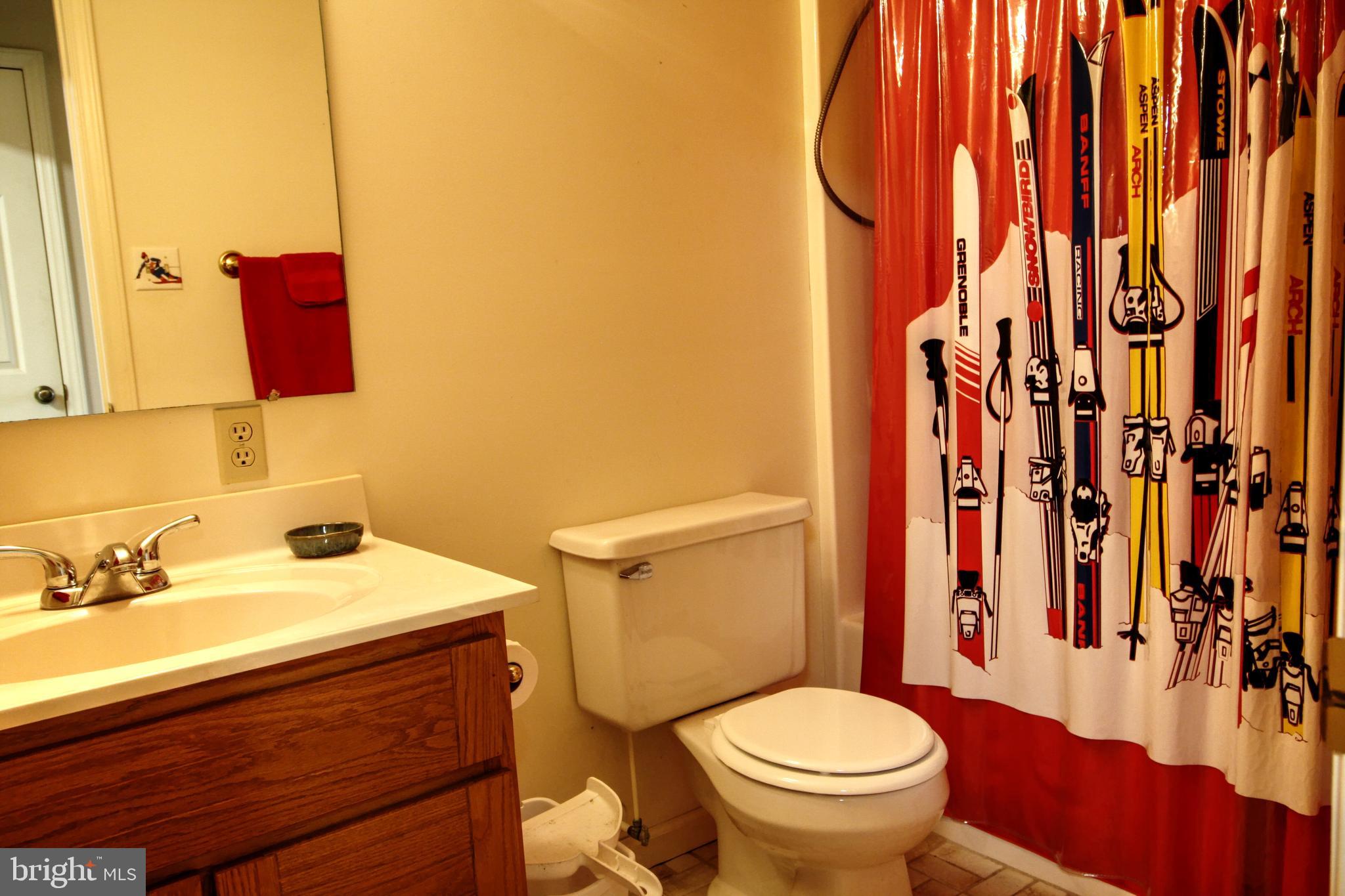 45 Ridge Court, Unit 26 Basye, VA 22842 - Photo 22 of 24 Lower level full bath