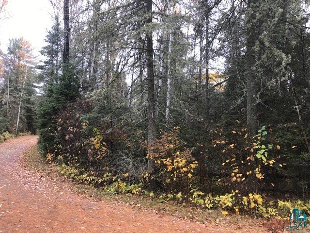 1774 Bradach Road Ely, MN 55731 - Photo 8 of 16 Gallery Image 8