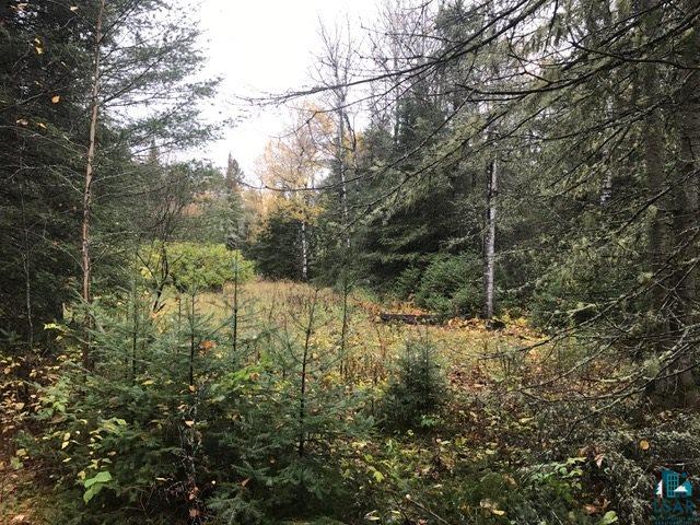 1774 Bradach Road Ely, MN 55731 - Photo 10 of 16 Gallery Image 10