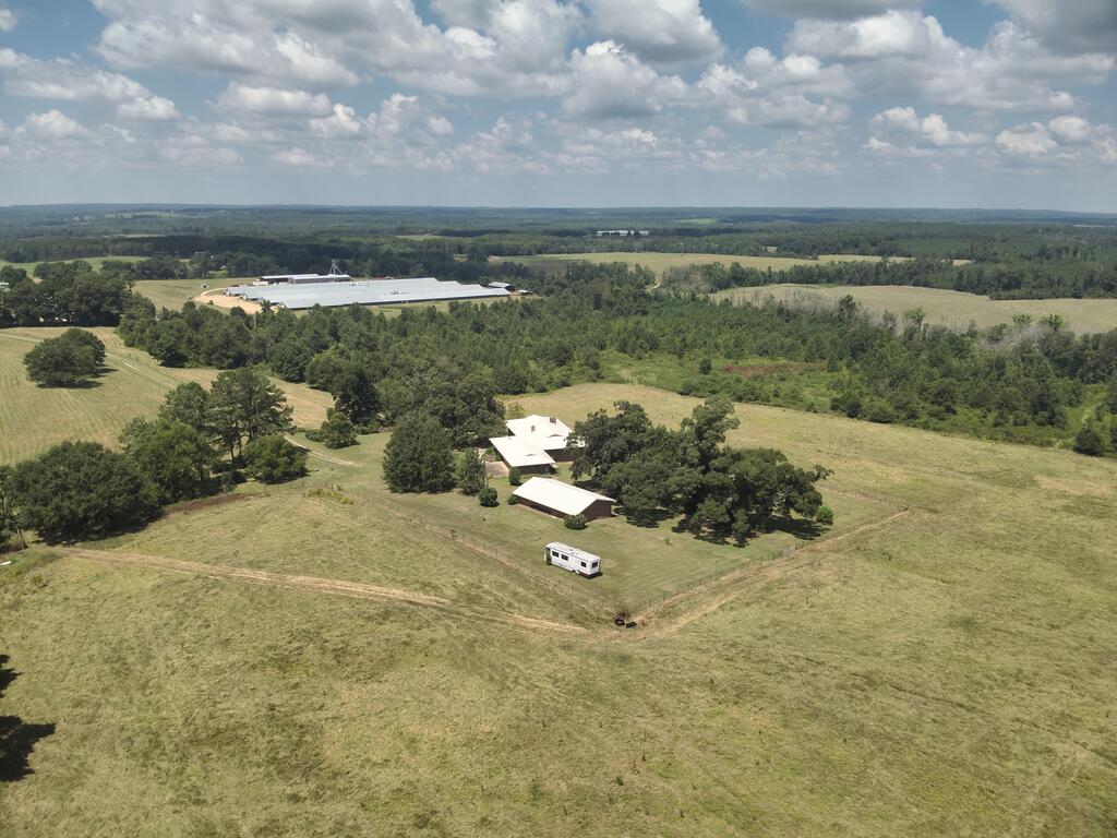 218 Chaney Branch Road Clio, AL 36017 - Photo 69 of 72 Gallery Image 69