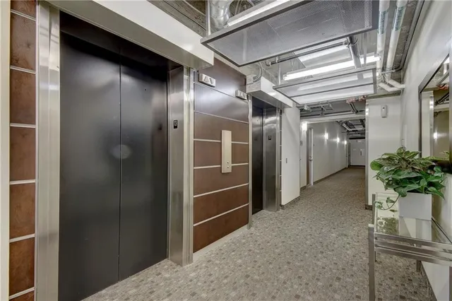 a view of a patio with couple of chairs and a potted plant