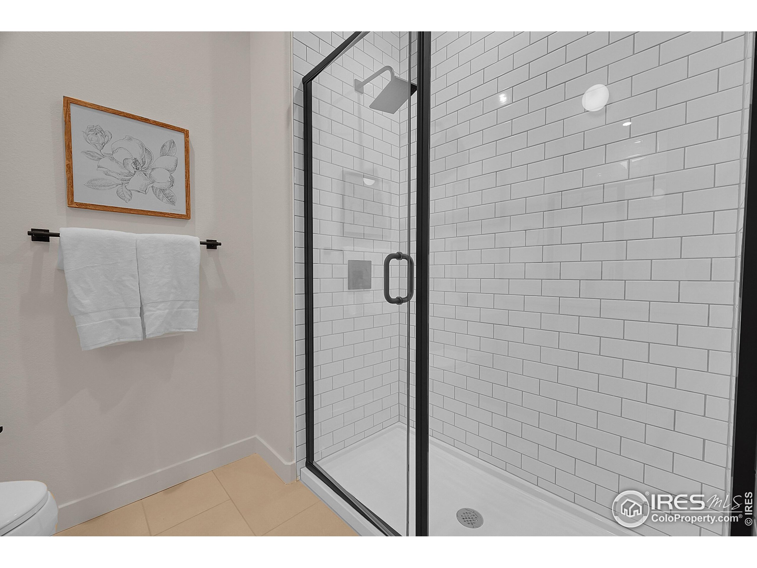 783 East County Line Road Erie, CO 80516 - Photo 18 of 28 a bathroom with a shower