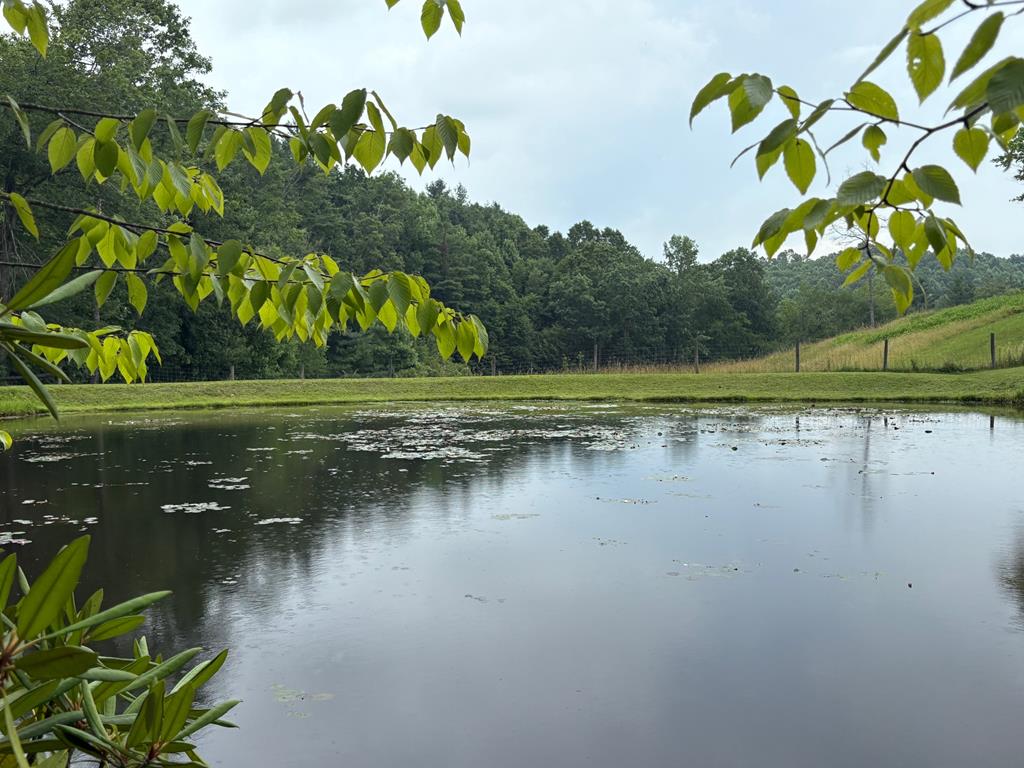 163 Snow Ridge Lane Fancy Gap, VA 24328 - Photo 83 of 89 Gallery Image 83