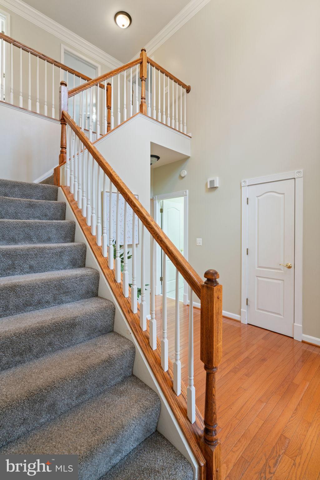 321 Raft Cove Stafford, VA 22554 - Photo 5 of 57