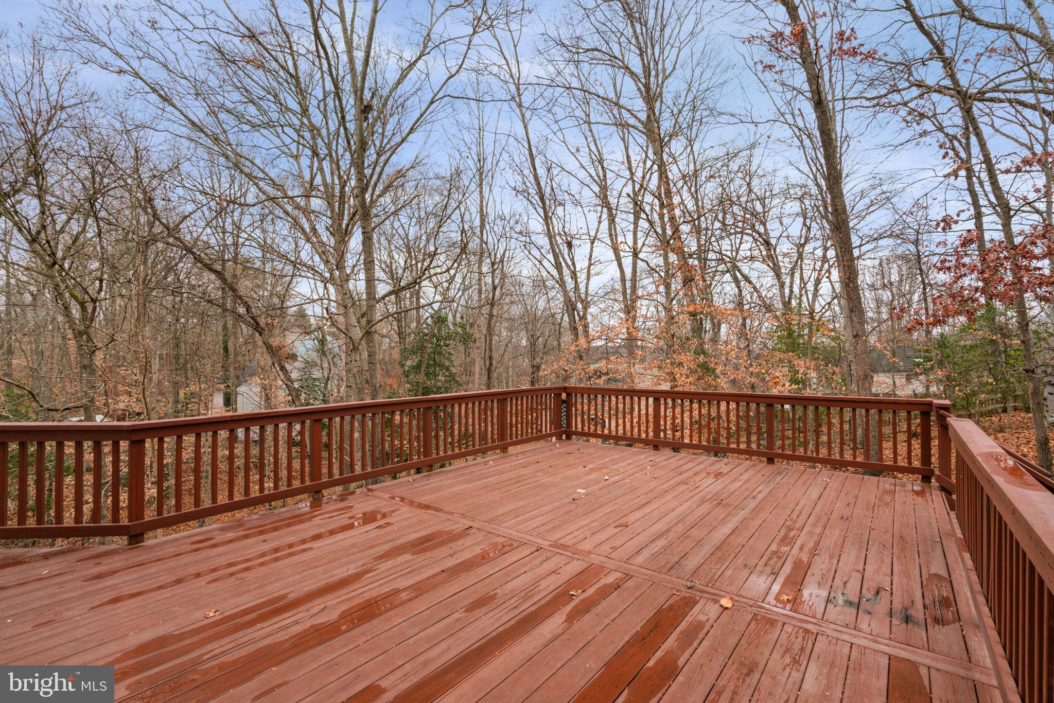 321 Raft Cove Stafford, VA 22554 - Photo 54 of 57