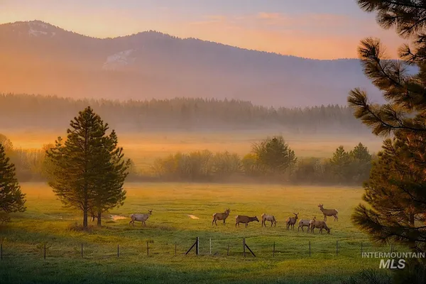 $795,000 | 1217 Elo Road, McCall, ID 83638