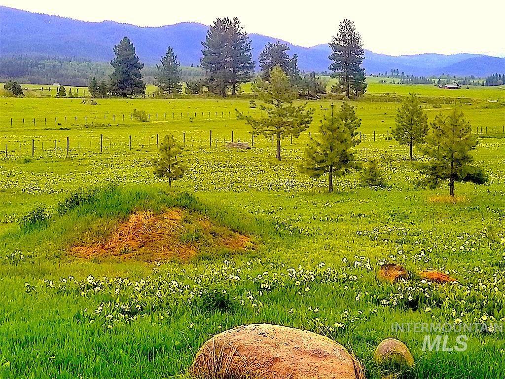 1217 Elo Road McCall, ID 83638 - Photo 2 of 16 Mountain view with rural landscape
