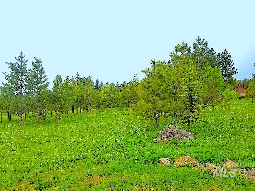 1217 Elo Road McCall, ID 83638 - Photo 6 of 16 View of undeveloped land