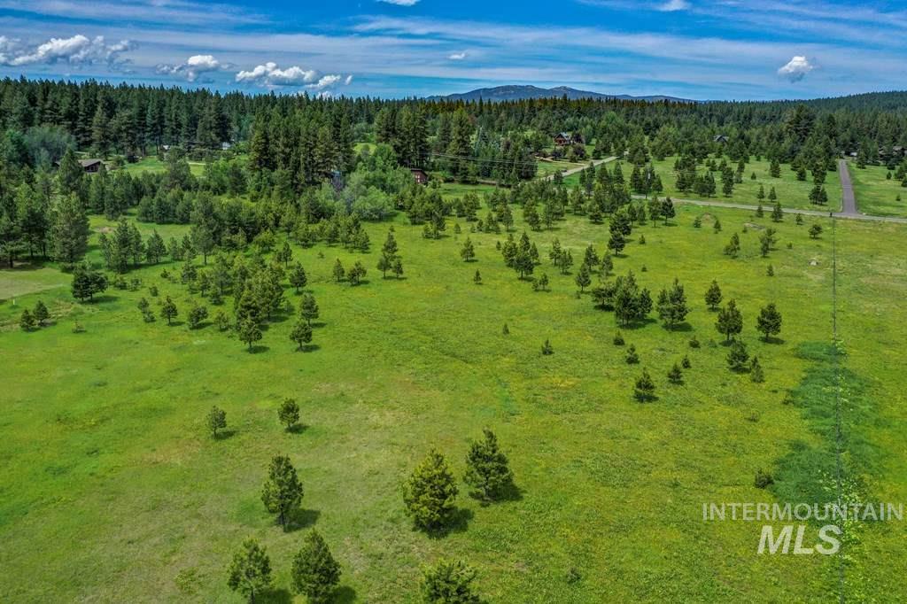 1217 Elo Road McCall, ID 83638 - Photo 7 of 16