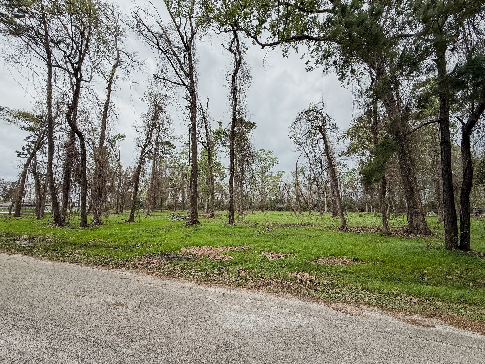 0 East Jayhawk Houston, TX 77044 - Photo 3 of 6