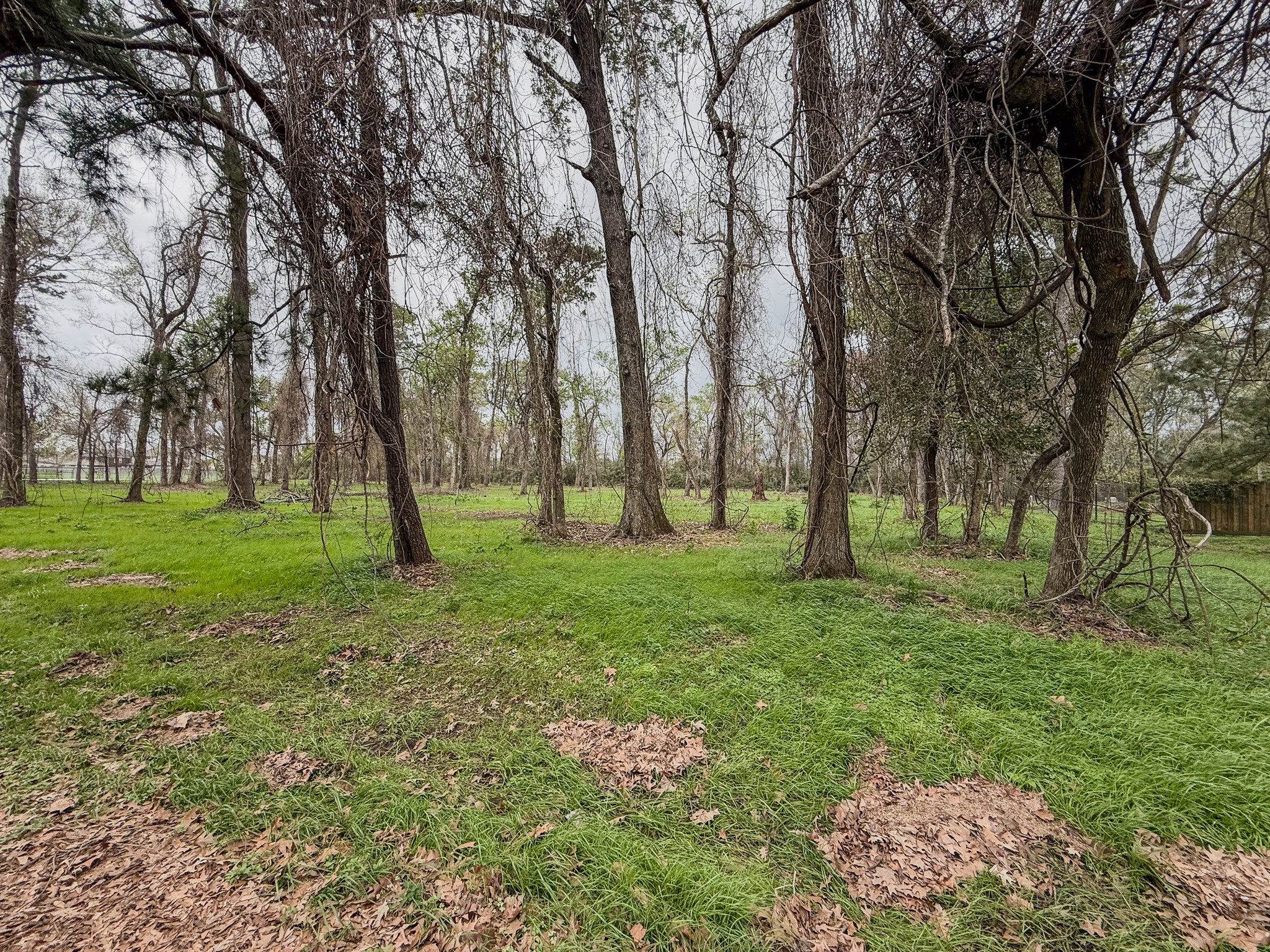 0 East Jayhawk Houston, TX 77044 - Photo 5 of 6