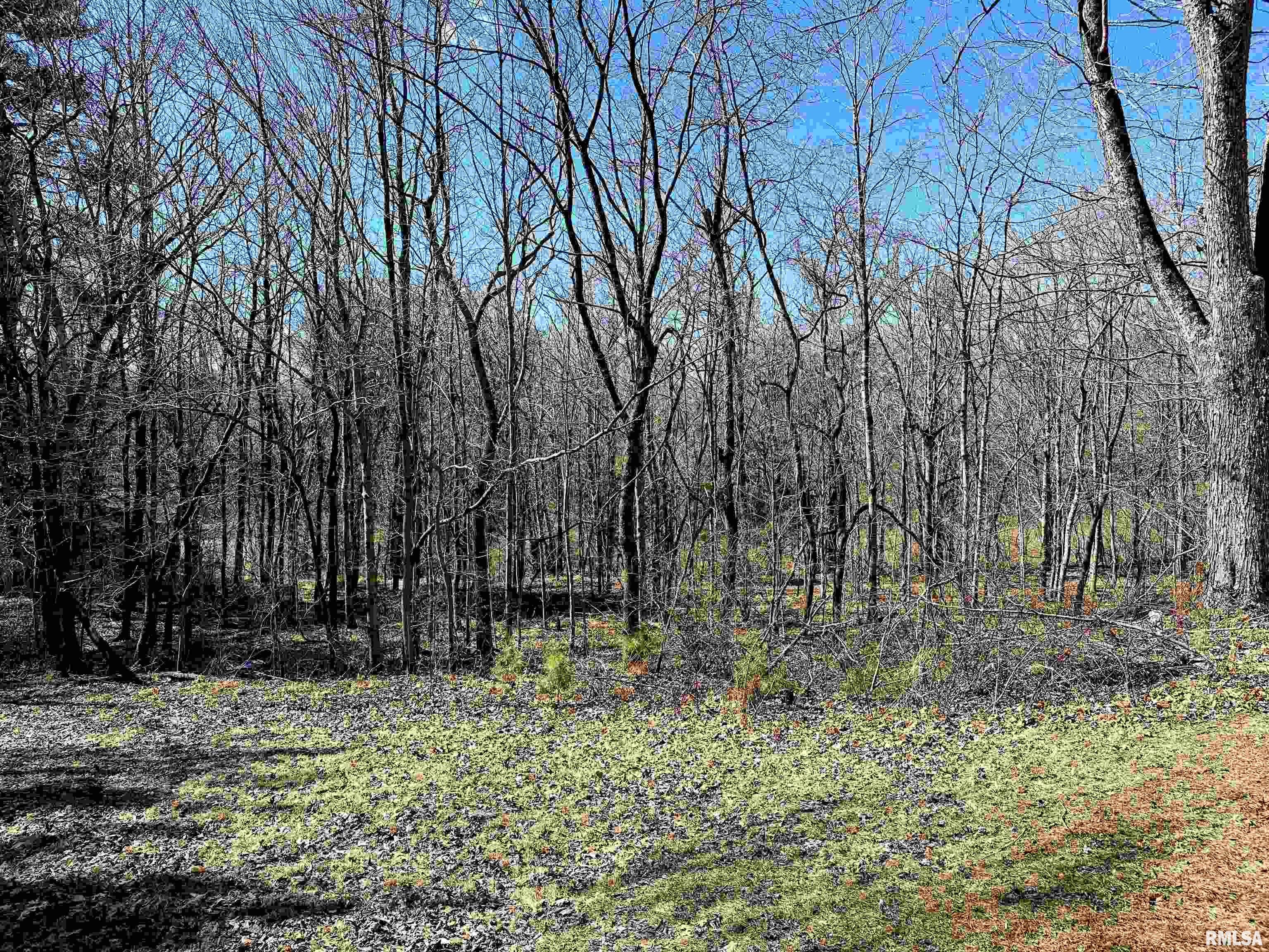 875 Jimtown Loop Anna, IL 62906 - Photo 27 of 50 Gallery Image 27