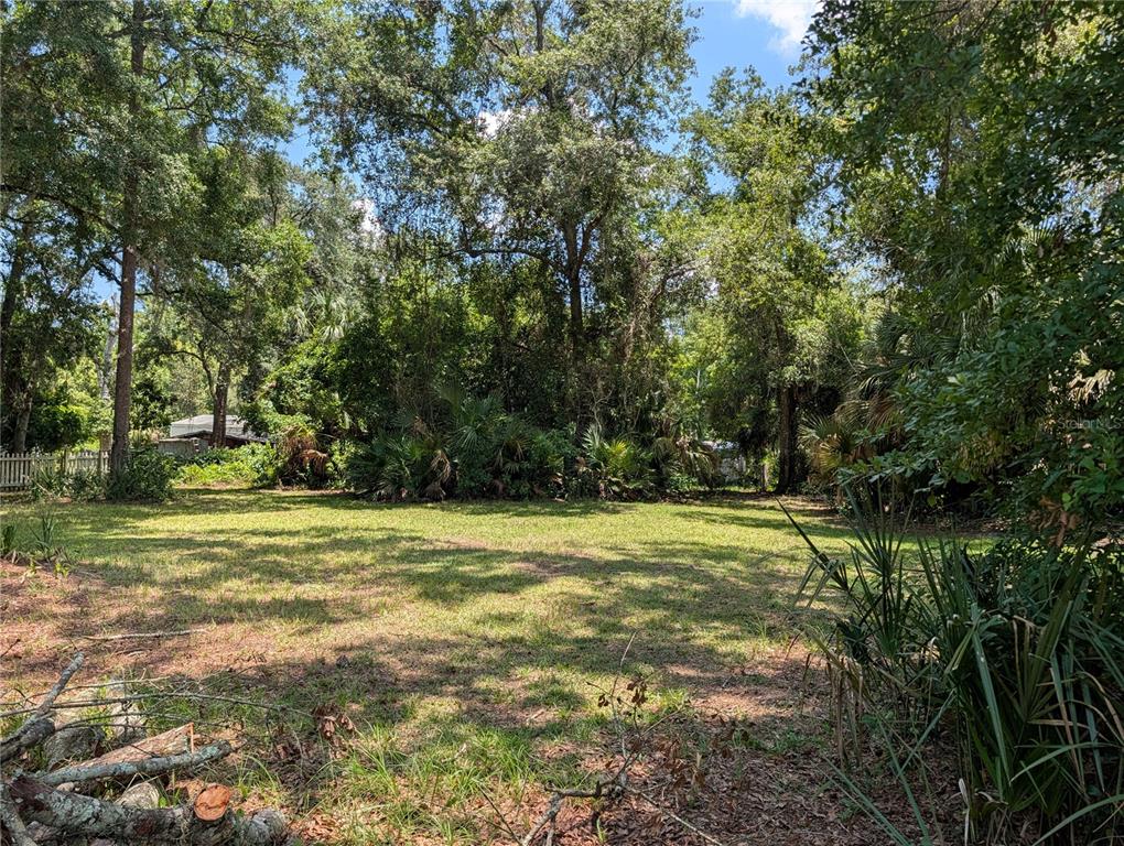 55914 Bay Road Astor, FL 32102 - Photo 6 of 23