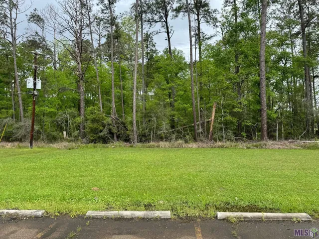 $145,000 | 2 A La Highway, Amite, LA 70422