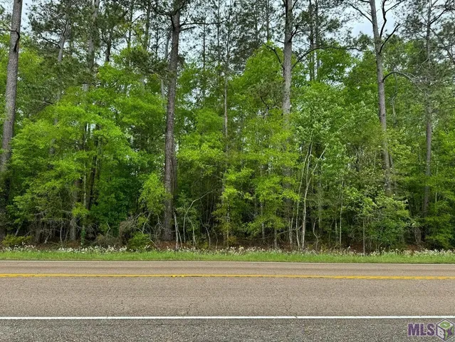 $145,000 | 2 A La Highway, Amite, LA 70422