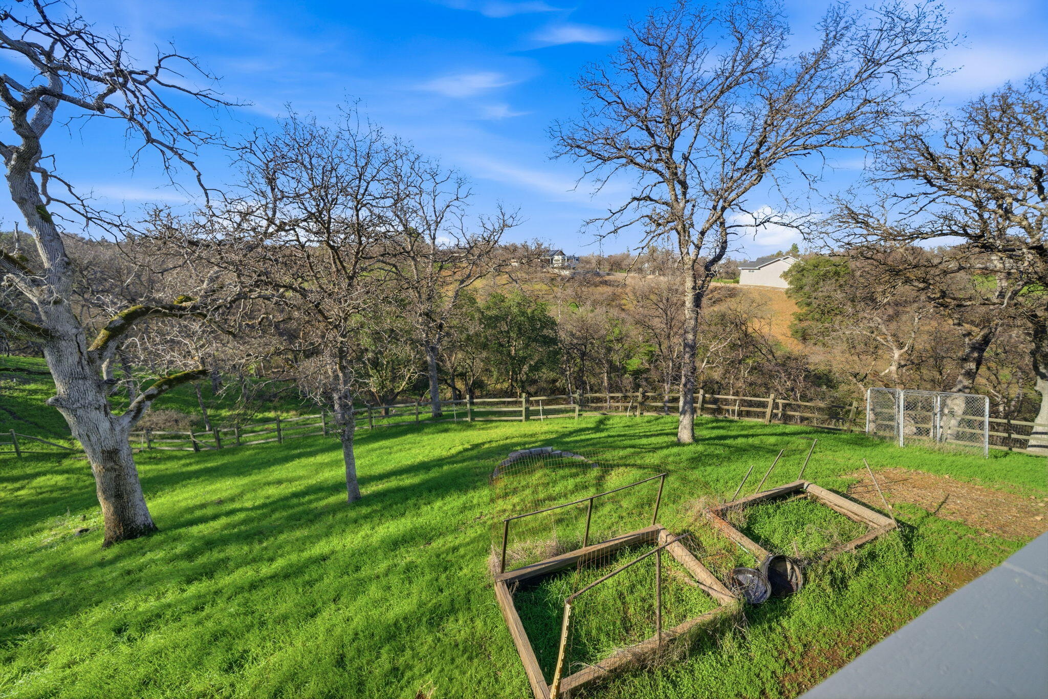 14435 Del Oro Court Red Bluff, CA 96080 - Photo 23 of 28 a view of a park with large trees