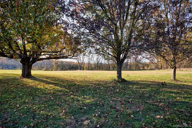 a view of a yard with a tree