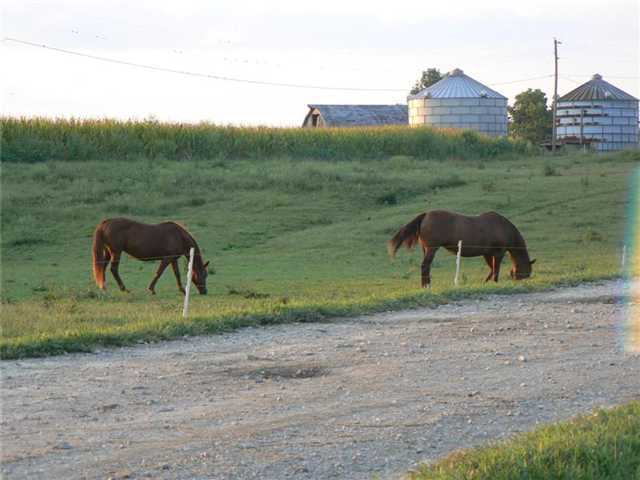 0 National Road Southwest Pataskala, OH 43062 - Photo 6 of 7