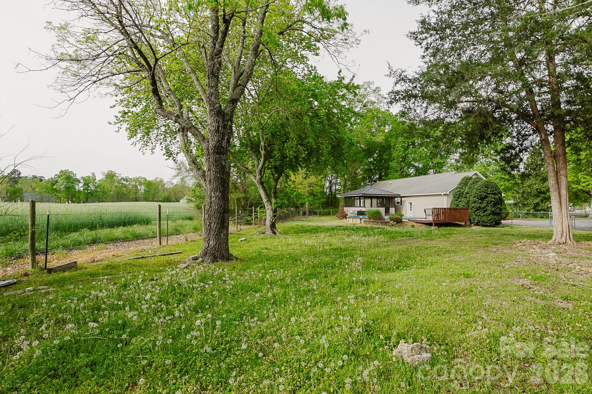 2104 Badin Road Albemarle, NC 28001 - Photo 35 of 46 a view of a house with backyard and a tree