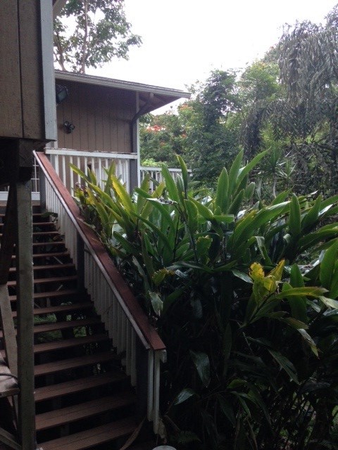 1565 Haiku Road, Unit 2 Haiku, HI 96708 - Photo 21 of 26 a couple of flower plants in front of house