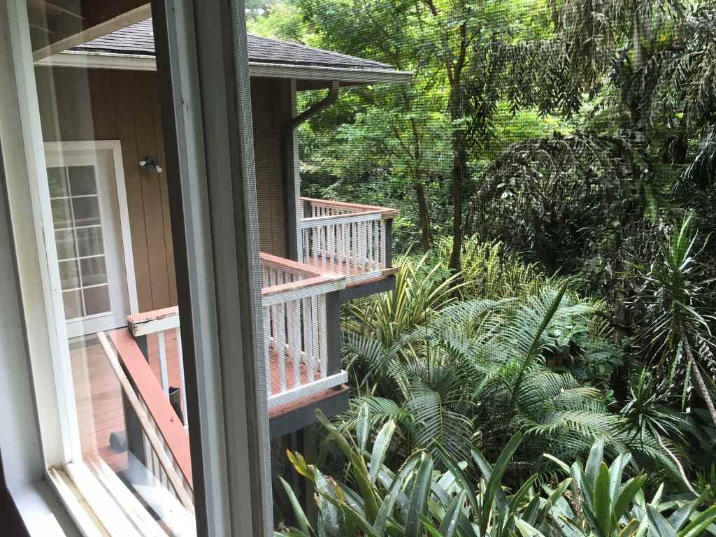 1565 Haiku Road, Unit 2 Haiku, HI 96708 - Photo 23 of 26 a view of backyard from deck