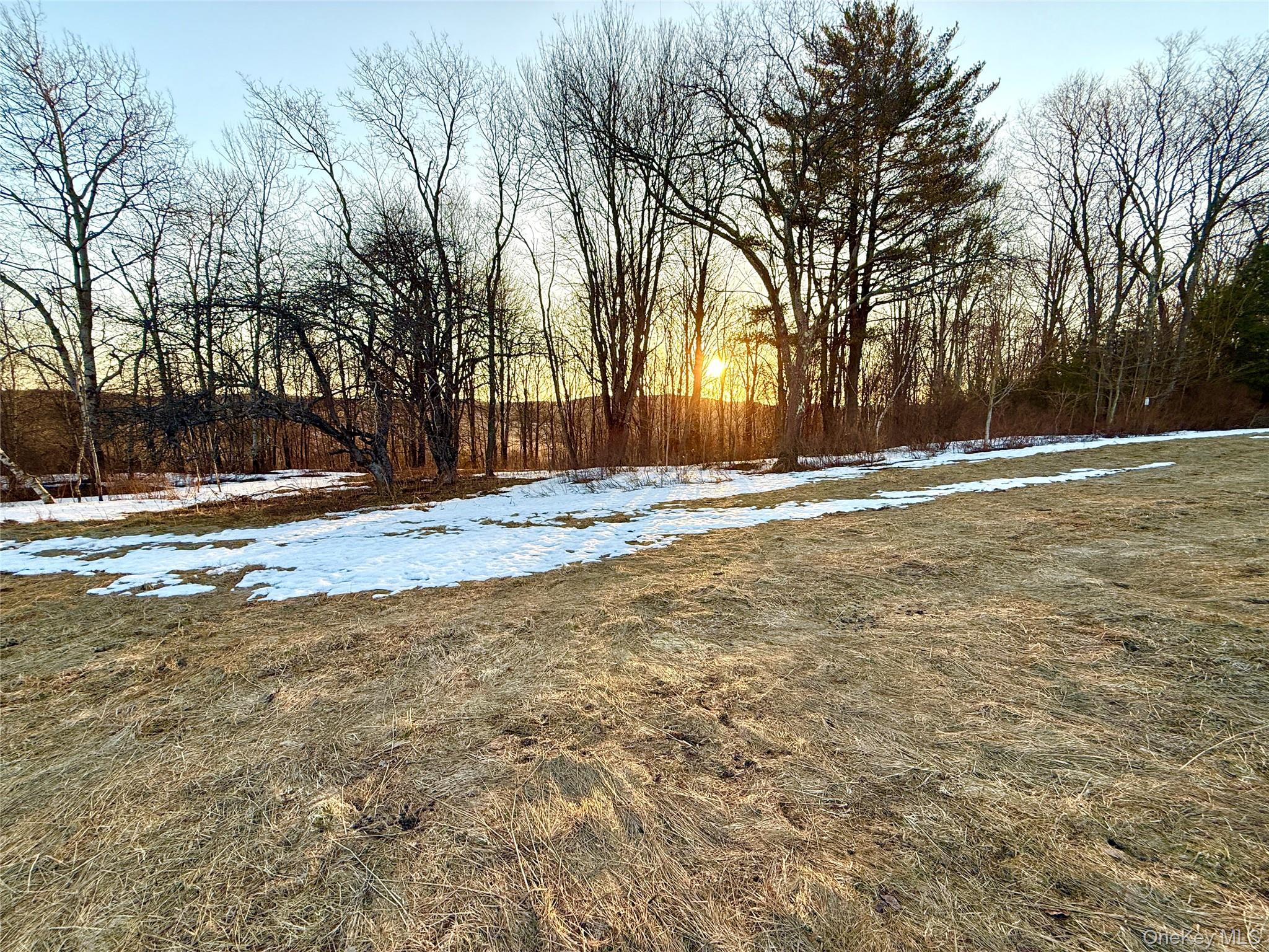 Tbd Snake Hill Road Walton, NY 13775 - Photo 7 of 9 a view of empty space with large trees