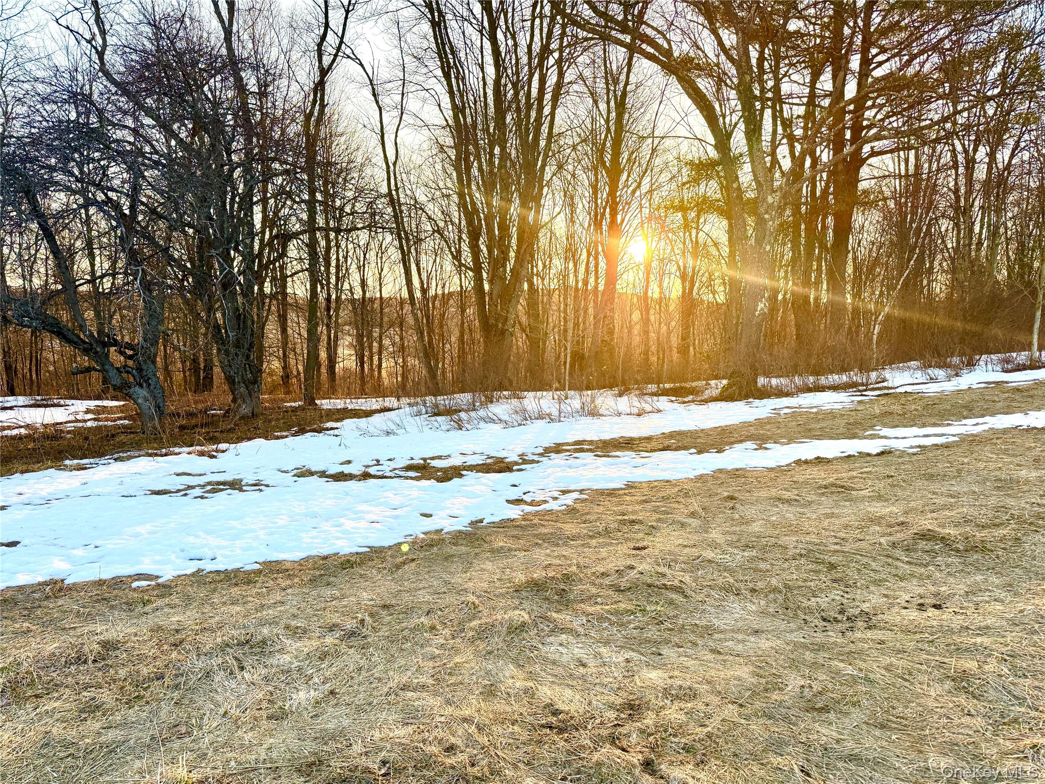 Tbd Snake Hill Road Walton, NY 13775 - Photo 8 of 9 a view of road with trees