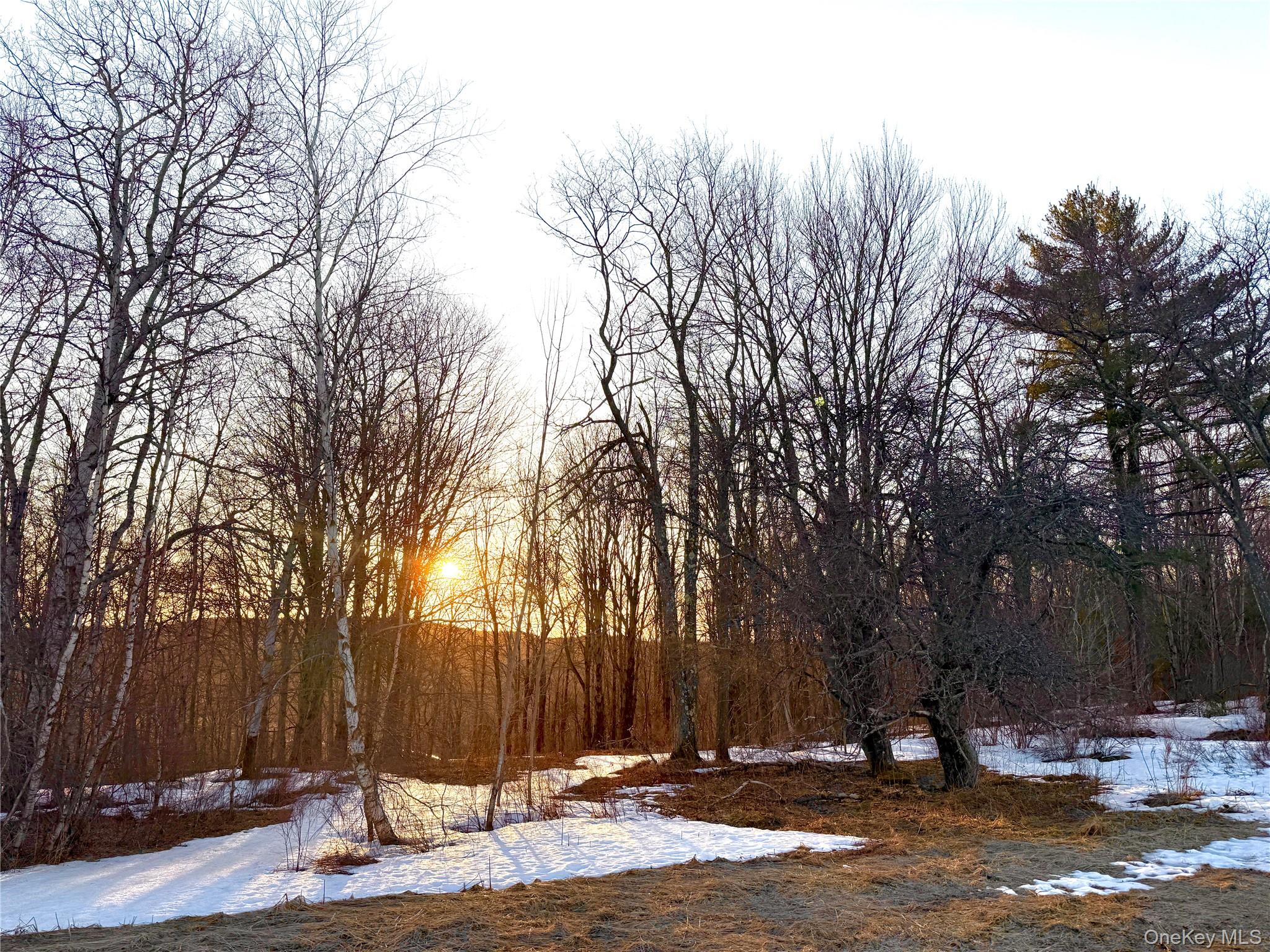 Tbd Snake Hill Road Walton, NY 13775 - Photo 9 of 9 a view of outdoor space with trees