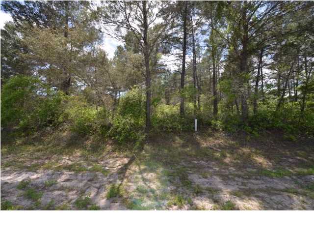 244 River Road Carrabelle, FL 32322 - Photo 5 of 8 Gallery Image 5