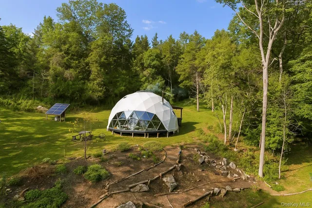 a view of a trees in a backyard