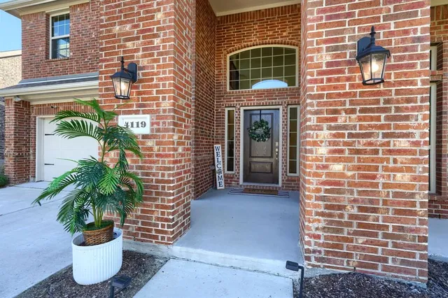 a potted plant in front of a door