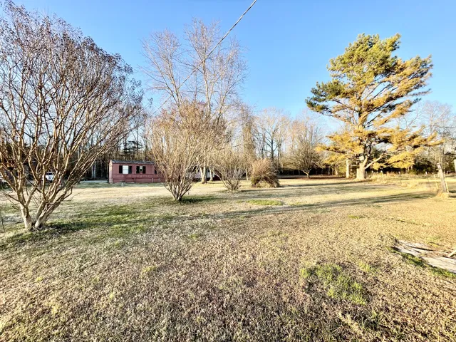 a view of road with large trees