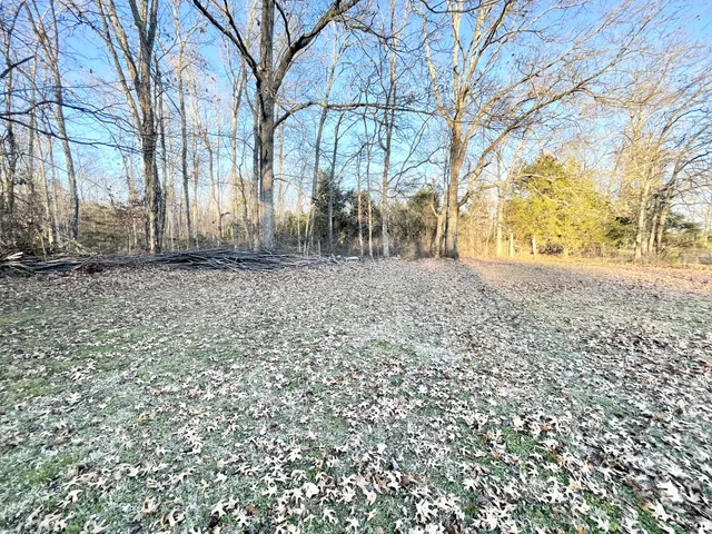 a view of a yard with large trees