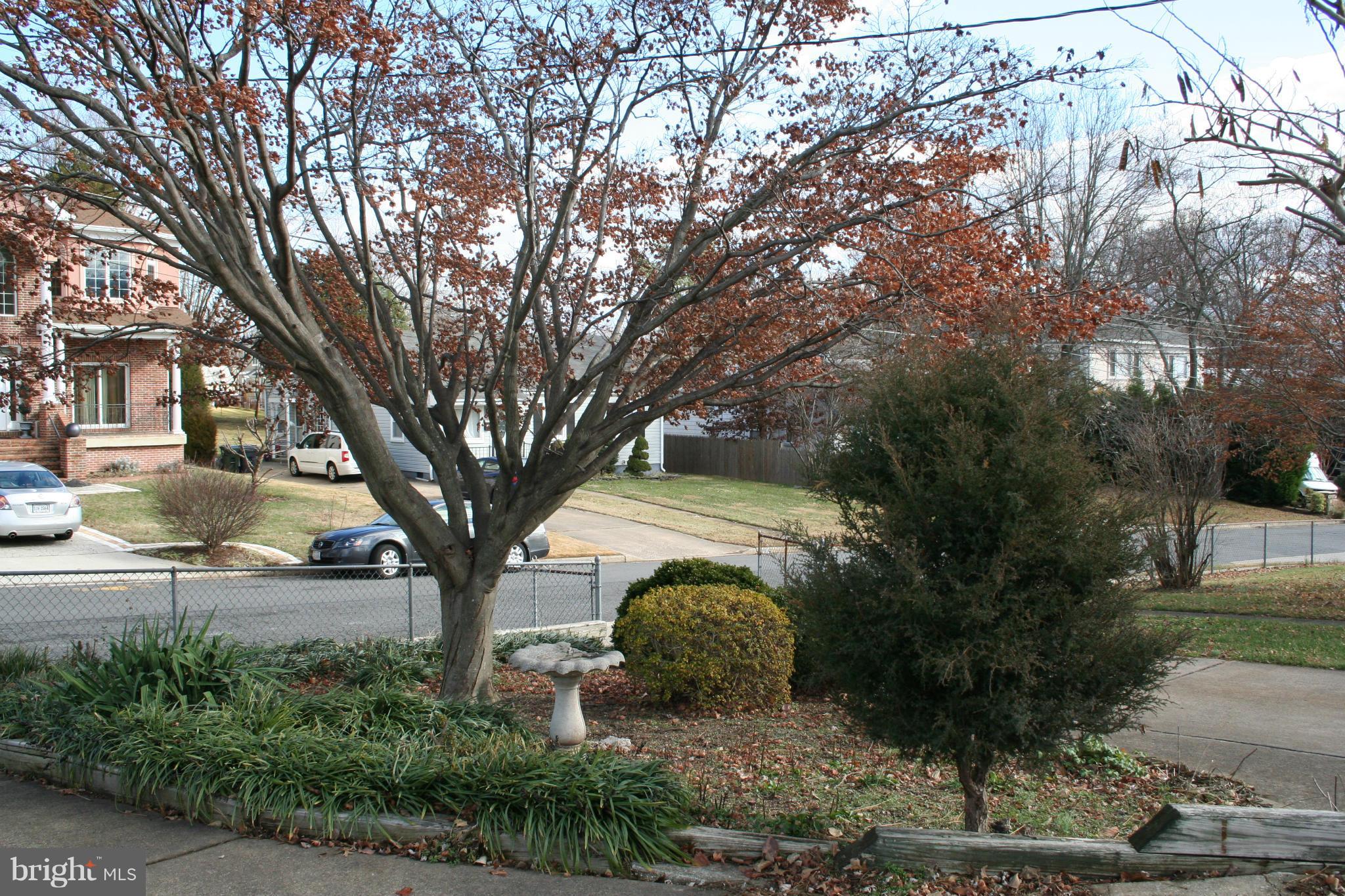 1912 Ware Road Falls Church, VA 22043 - Photo 8 of 28 Front Yard Landscaping
