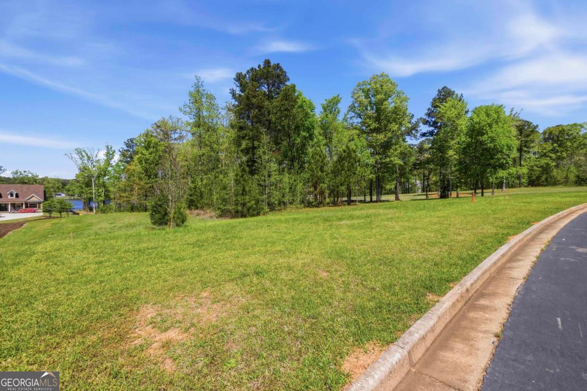 1310 Sailview Drive Buckhead, GA 30625 - Photo 14 of 16 a view of a trees with a big yard