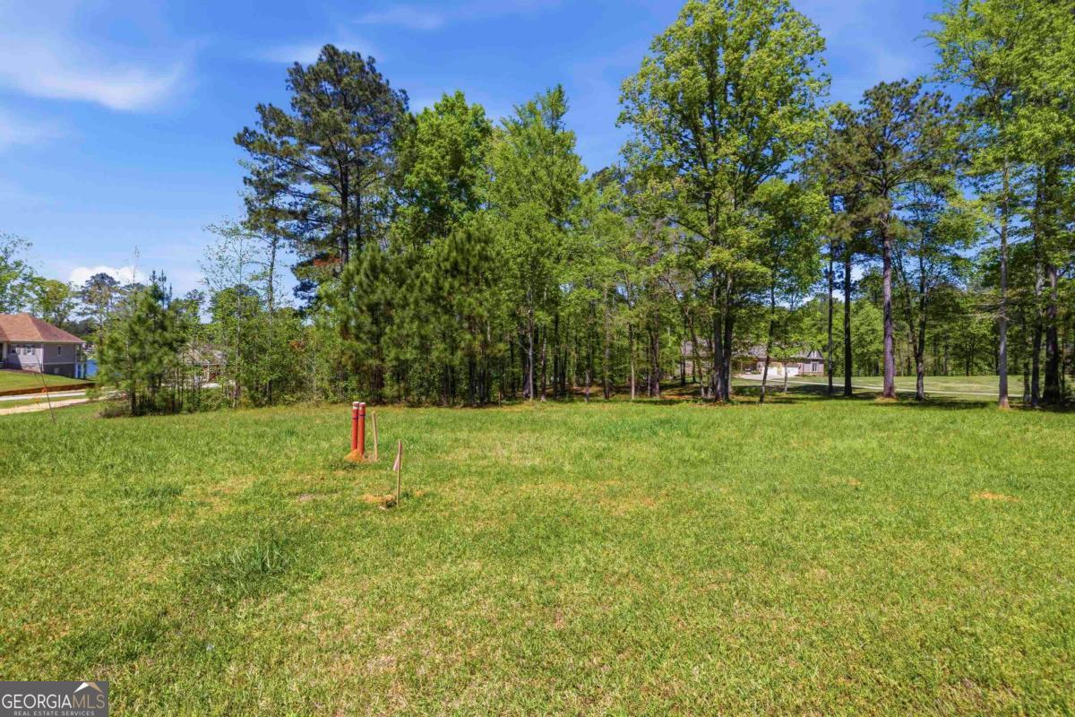 1310 Sailview Drive Buckhead, GA 30625 - Photo 15 of 16 a view of yard with tree
