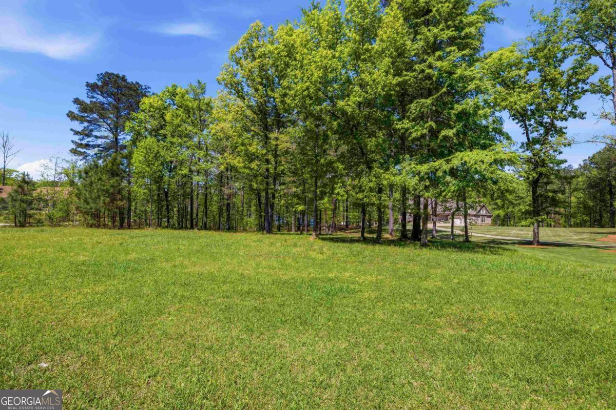 1310 Sailview Drive Buckhead, GA 30625 - Photo 16 of 16 a view of a field with trees in the background