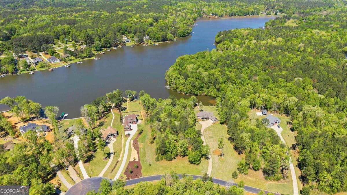 1310 Sailview Drive Buckhead, GA 30625 - Photo 6 of 16 view of a lake with large trees