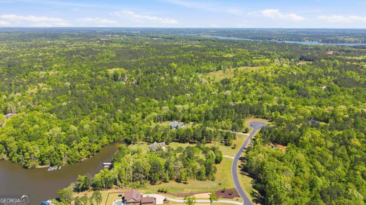 1310 Sailview Drive Buckhead, GA 30625 - Photo 9 of 16 a view of a city