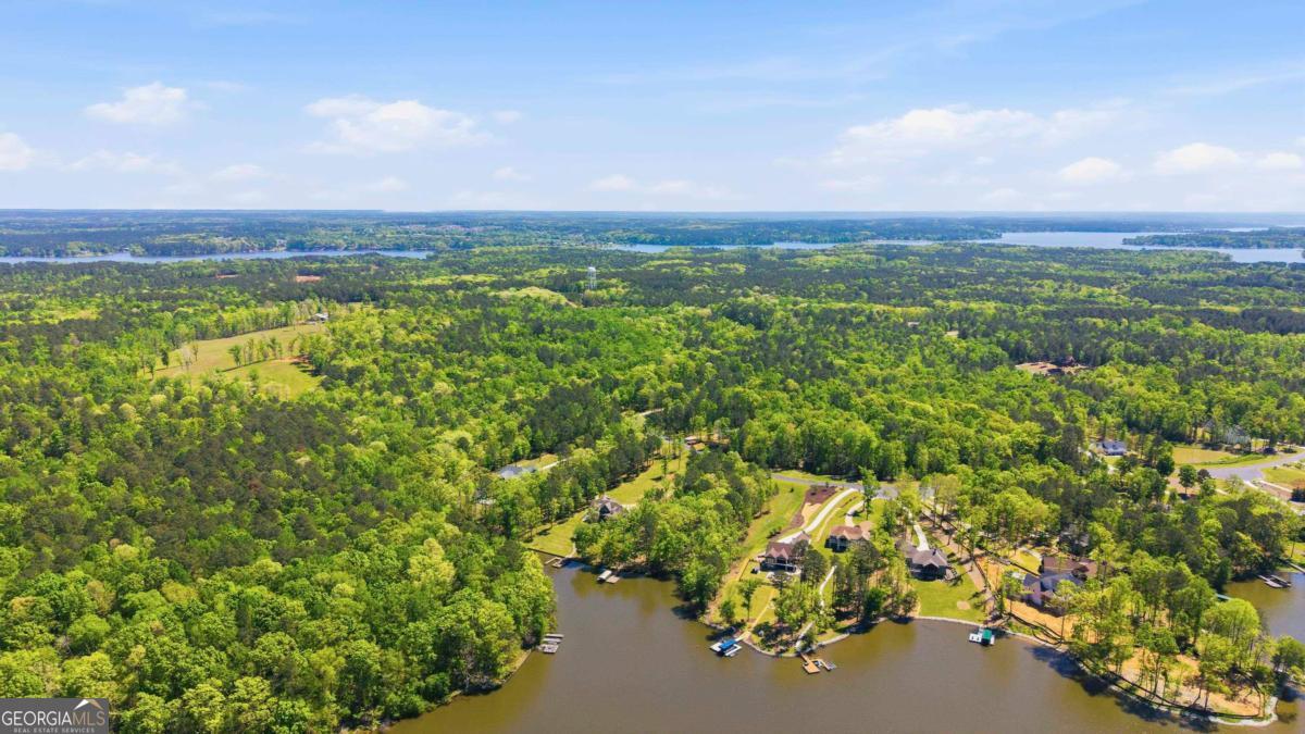 1310 Sailview Drive Buckhead, GA 30625 - Photo 10 of 16 an aerial view of houses with yard